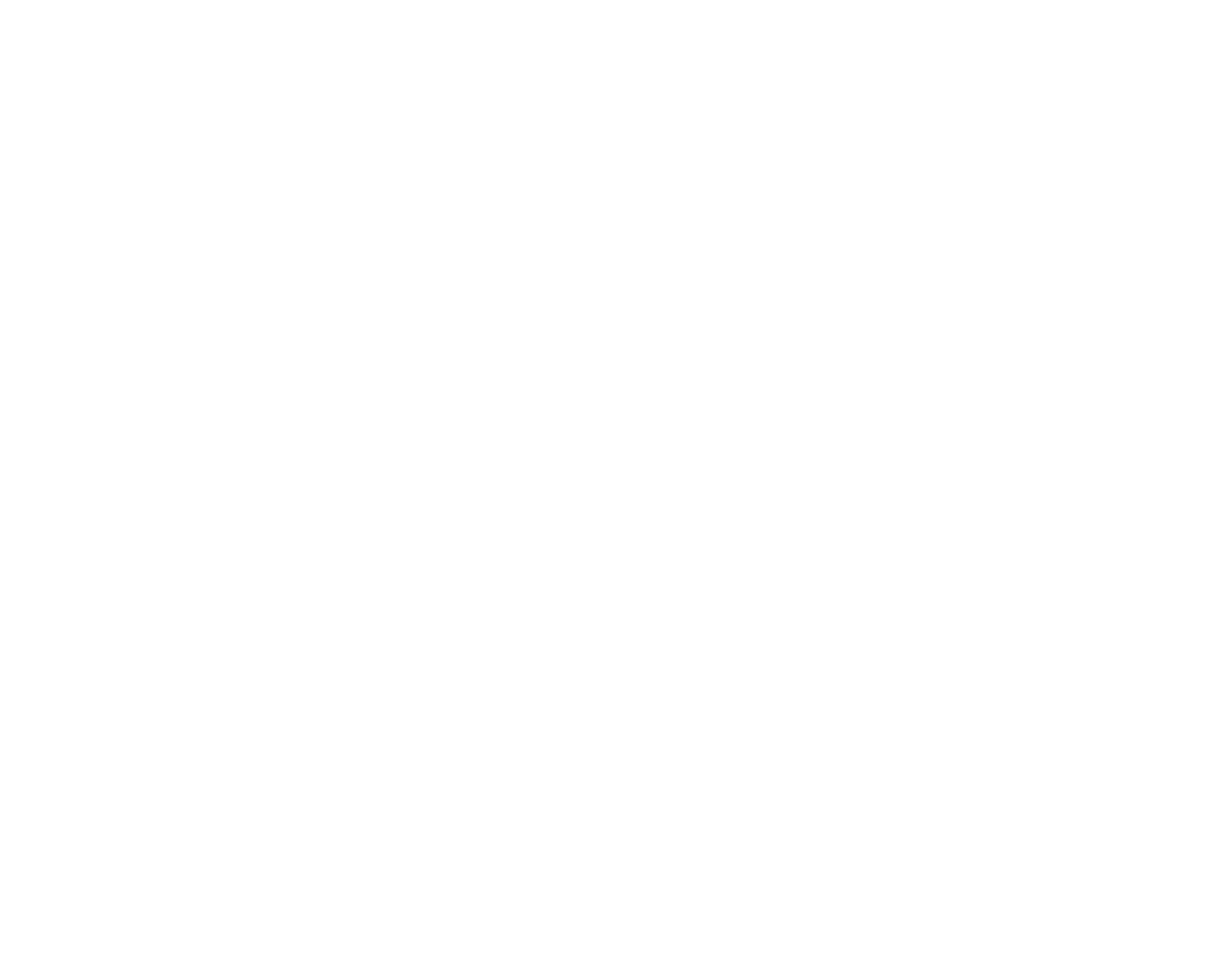 Ford Motor Co.